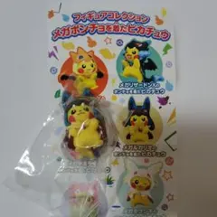 メガルカリオのポンチョを着たピカチュウ