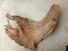 Item thumbnail for item 2f538931-bde2-4bfe-a7eb-837e3e92b4e1