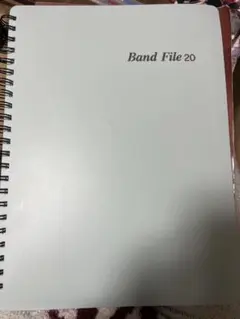 Item thumbnail for item cae6069c-9d66-4157-b11a-fa233f76ee12