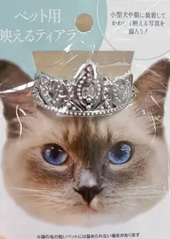 ダックス☆様　専用
