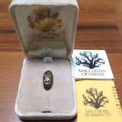 黒珊瑚　希少　ハワイ　置物　インテリア 黒珊瑚 希少 ハワイ 置物 インテリア