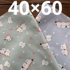 ★ハンドメイド★ランチョンマット2枚セット　40✕60シマエナガ★666