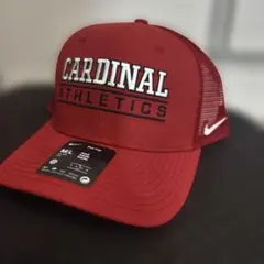 Item thumbnail for item 318c4010-9ee0-40d5-9cab-734b043bec14