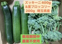 ズッキーニ400g &茎ブロッコリー200g 栽培期間中農薬不使用　埼玉県産のサムネイル