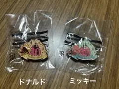 ディズニーランド 40周年 ピンバッジ 2個セット