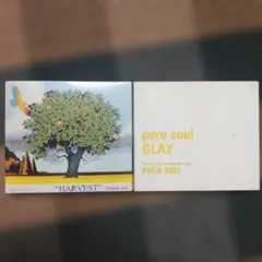 GLAY pure soul / Dragon Ash HARVEST CD
