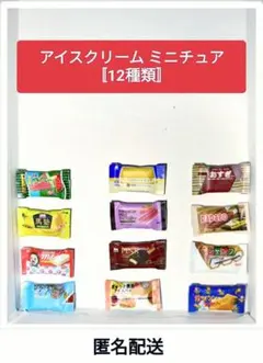 ♥アイスクリーム ミニチュア（12種類）