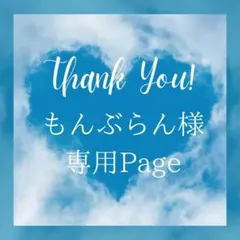 もんぶらん様 リクエスト 3点 まとめ商品