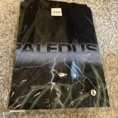 paledusk スーパーナチュラル Tシャツ 黒 サイズL - メルカリ