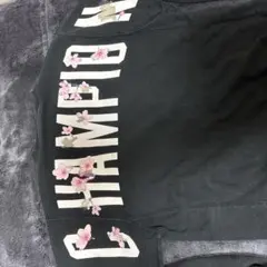 Champion
