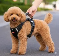 犬用 ハーネス 小型犬 XSサイズ 反射テープ付き メッシュ 黒 新品
