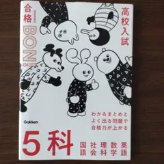 Item thumbnail for item 22145e77-d1f1-4baa-88c5-d58ca303be05