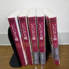 いたいけな瞳 文庫版全5巻セット