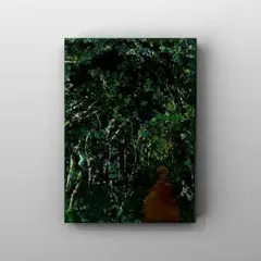 犬*ま様 風景画◇林道◇新品 美品【水性絵具/アクリル/色鉛筆】◇防水