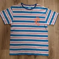 00's SANTA CRUZ ボーダー Tシャツ M スクリーミングハンドのサムネイル