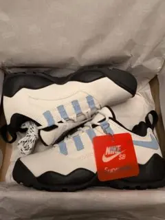 Item thumbnail for item 853ff4c3-cead-4e84-90ae-10c772306244