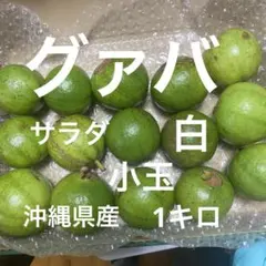 沖縄県産】新鮮 白グァバ1kg （Cửa hàng chuyên ổi） - メルカリ