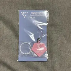 2025年最新】seventeen ファンクラブ特典の人気アイテム - メルカリ