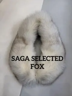 saga fox