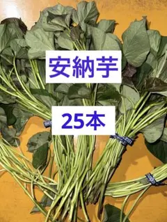 ①MARU様 リクエスト 3点 まとめ商品