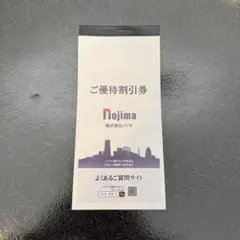 【10枚】期限 2026年1月31日 ノジマ 株主優待