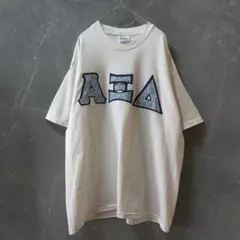 90s 00s Hanes ヘインズ カレッジロゴ アップリケ Tシャツ 白 L