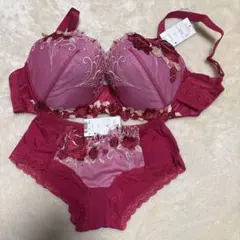 サルート　ブラ＆ショーツセット