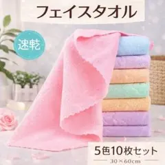 Item thumbnail for item c02a4202-fd84-48b7-bb0d-796acb73ea35