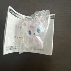 ジュエルペット めじるしアクセサリー ラブラ キラキラオーロラver.