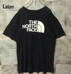 THE NORTH FACE Lsize 半袖Tシャツ フロントロゴ