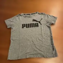⭐︎PUMA半袖Tシャツ⭐︎グレー150センチ