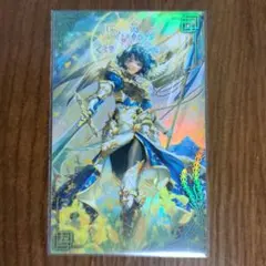 英傑大戦 絆 袁姫 〜2/13 - メルカリ