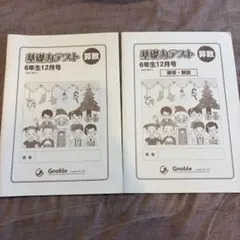 ☆書き込みなし☆グノーブル基礎カテスト3年生 2〜12月号 基礎カテスト 6年生10月号 - メルカリ