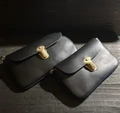 Item thumbnail for item 0e739029-3793-47af-a049-b5beadbb676b