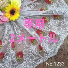 専用