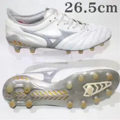 2025年最新】モレリアネオ3 シャイニングの人気アイテム - メルカリ