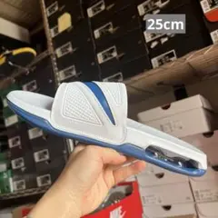 Air Max Cirro Slide "Pure Platinum"