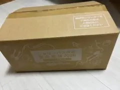 ジョリーパスタ 夏の福袋 2026 ジョリパBOX