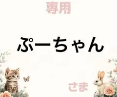 専用