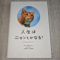 人生はニャンとかなる！