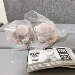 パウパトロール すやすやフロッキーソフビ