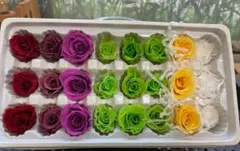 ★てんてん様★　専用ページ　プリザーブドフラワー薔薇２４輪MIX