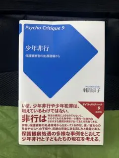 少年非行　保護観察官の処遇現場から