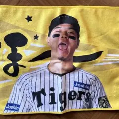 阪神タイガース　佐藤輝明選手　勝利時限定タオル