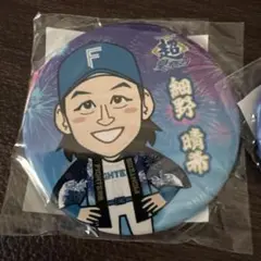 No.29 細野晴希　北海道日本ハムファイターズ　ガチャ