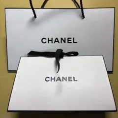 CHANEL ショップ袋セット 大小
