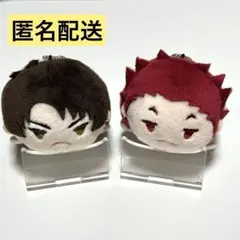 天童覚 もちマスミニ50個 2025年最新】天童覚もちもちマスコットの人気アイテム - メルカリ