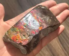 鑑別あり】希少石 K14 14K アンモライト 12.5号 5.1g