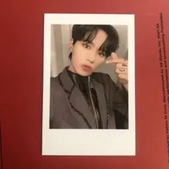 WEi ALD1ジュンソ ポラロイド