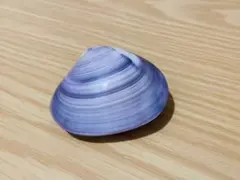 Item thumbnail for item fd199e39-a7a1-4318-9077-13df1a7a6cfa